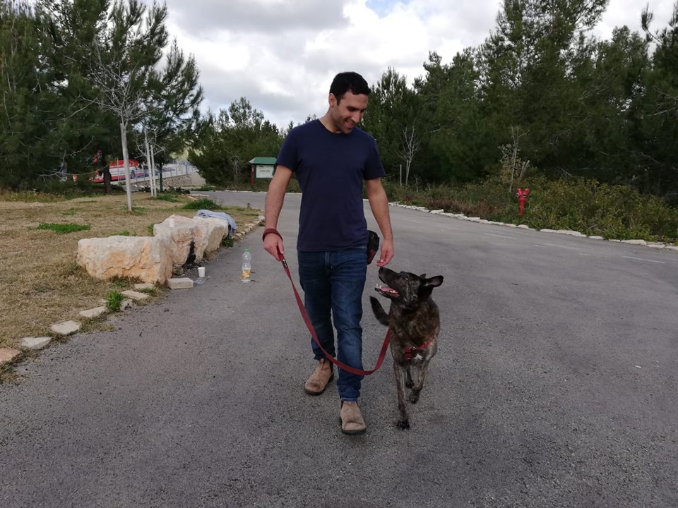 51121352_2203663936368093_1957594231786700800_n